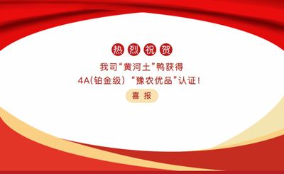 【喜報】—我司黃河土鴨獲4A(鉑金級）“豫農優(yōu)品”認證！